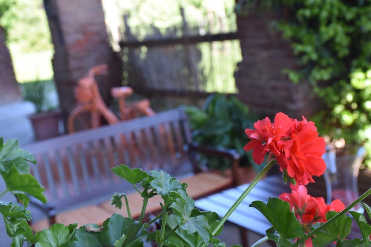 La Casa Di Enzo Bed & Breakfast Lequio Tanaro Exterior photo